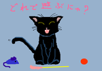 fimg_1210937839.png