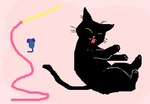 fimg_1219151682.png