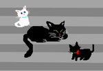 fimg_1221051121.png