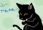 fimg_1221484303.png