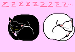 fimg_1226149985.png