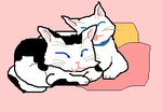 fimg_1227101831.png