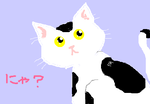 fimg_1243516461.png
