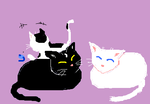 fimg_1246886635.png