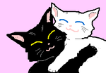fimg_1251123353.png