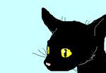 fimg_1253884932.png