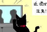 fimg_1255353391.png