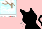 fimg_1259585924.png