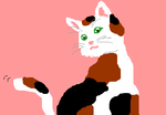 fimg_1260103924.png