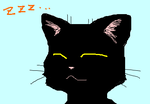 fimg_1264684288.png