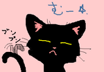 fimg_1271681463.png