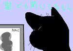 fimg_1275482989.png