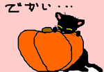 fimg_1288272357.png