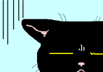 fimg_1288874840.png