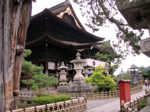 93f96667.jpg