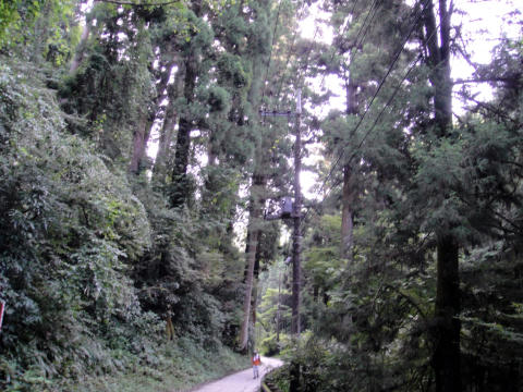 d77999b6.jpg