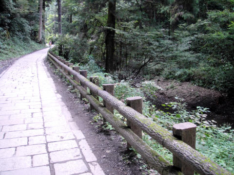 87db097f.jpg