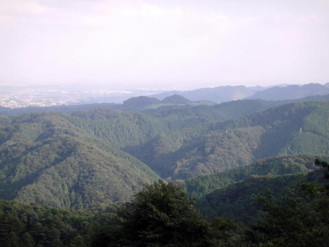 08ccfcb8.jpg