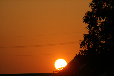 sIMG_1040.jpg