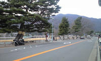 080206_arashiyama01.jpg