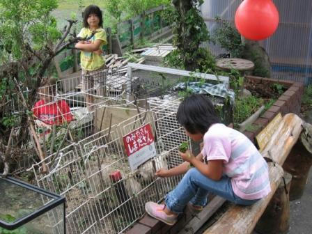 しまださんにクローバー