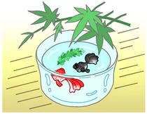 Illustration for postcard - 「Japanese &amp;quot;Summer feature&amp;quot;」