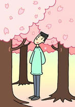 Enjoying seeing cherry blossom, Cherry blossoms tree, Visit of spring, Event of spring