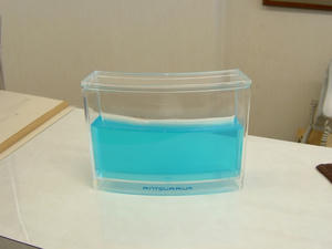 アントクアリウム