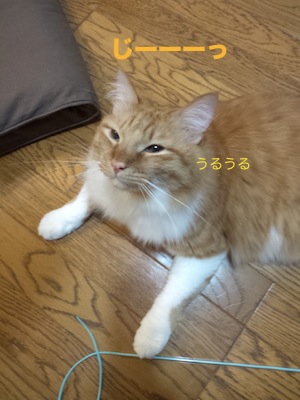 4b99ba96.jpeg