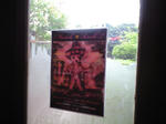 stinger cafe窓