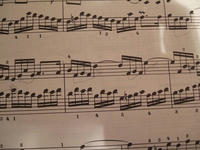 DSCF4643.jpg