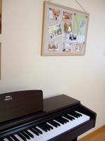 DSCF4735.jpg