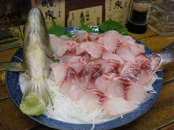 DSCN1845-1.JPG