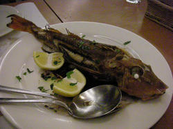DSCN2370.JPG
