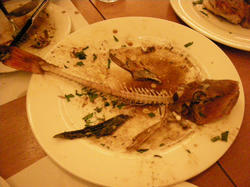 DSCN2372.JPG