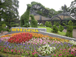 DSCN3463.JPG