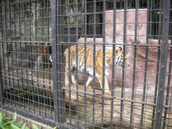 DSCN3471.JPG