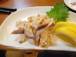 P2070681.JPG