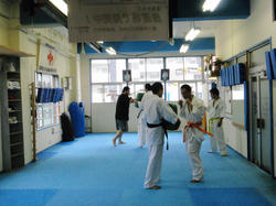 PA241349.JPG