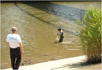 7月15日　飾区主催環境課の「綾瀬川みんなで水質調査」に参加	