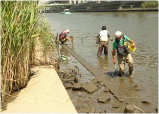 ７月１５日　投網、玉網で魚類調査		