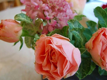 2009_07190005.jpg