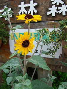 2009_091780002.jpg