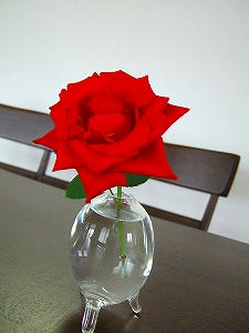 2009_091390004.jpg