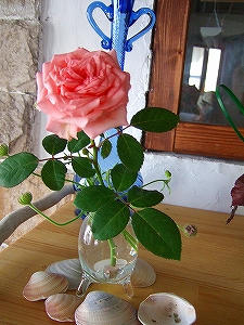 2009_091780008.jpg