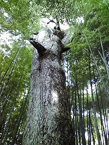 2009_092180005.jpg