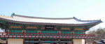 20110129.jpg