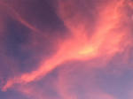 IMG_0812.jpg