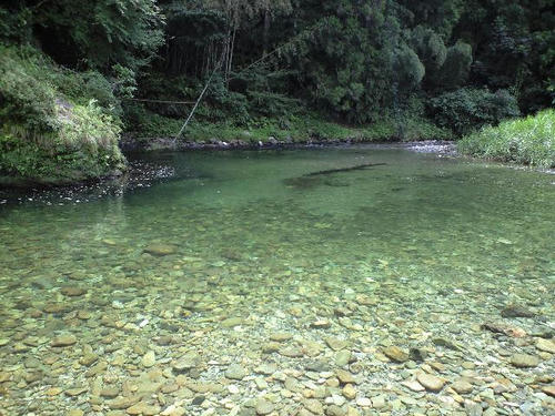 CA390303.jpg