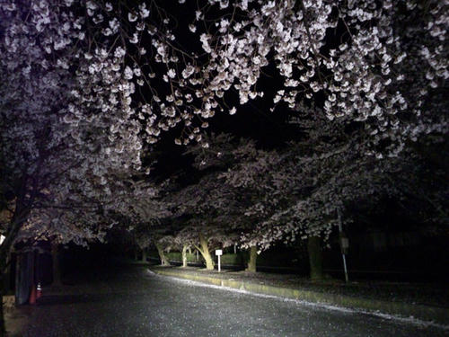 2011.4.9b.jpg